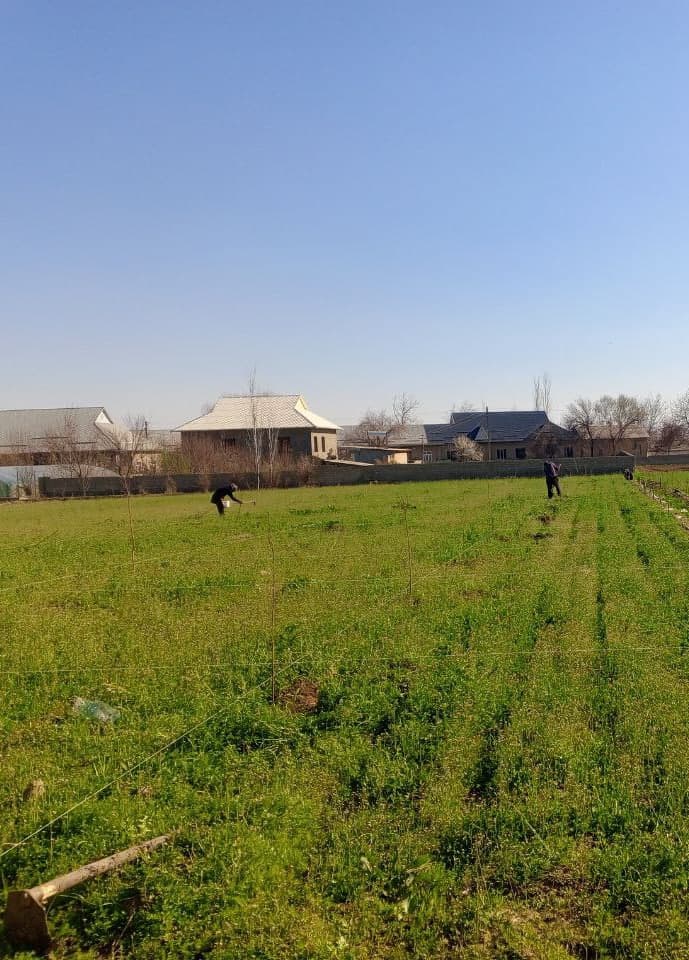 Қишлоқ ва сув хўжалиги соҳасидаги берилган топшириқлар ижроси туман ишчи гуруҳи томонидан ўрганилмоқда