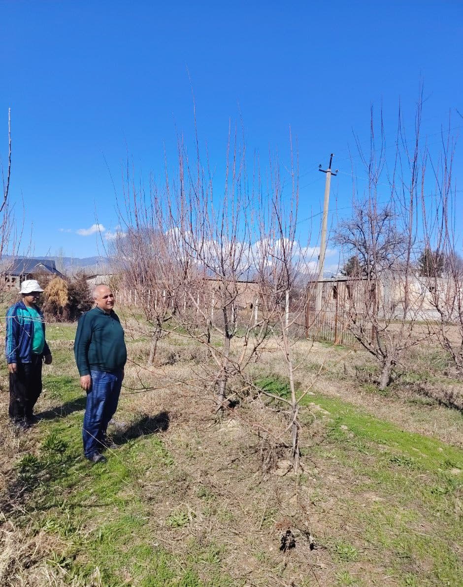 Қишлоқ ва сув хўжалиги соҳасидаги берилган топшириқлар ижроси туман ишчи гуруҳи томонидан ўрганилмоқда