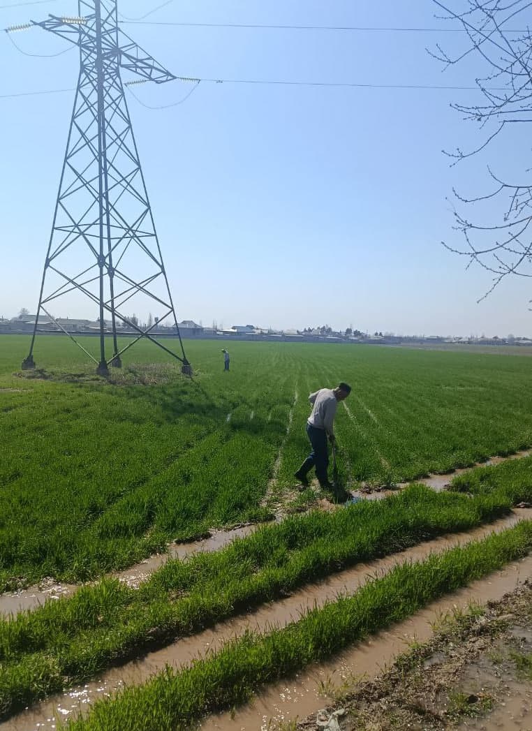 Қишлоқ ва сув хўжалиги соҳасидаги берилган топшириқлар ижроси туман ишчи гуруҳи томонидан ўрганилмоқда