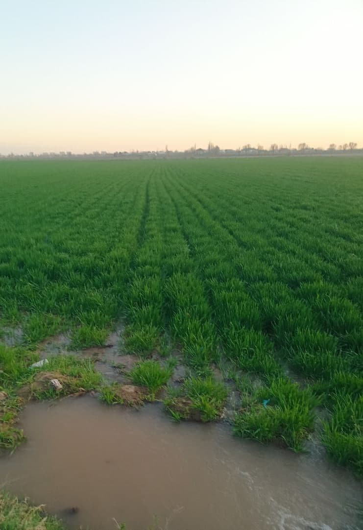 Қишлоқ ва сув хўжалиги соҳасидаги берилган топшириқлар ижроси туман ишчи гуруҳи томонидан ўрганилмоқда