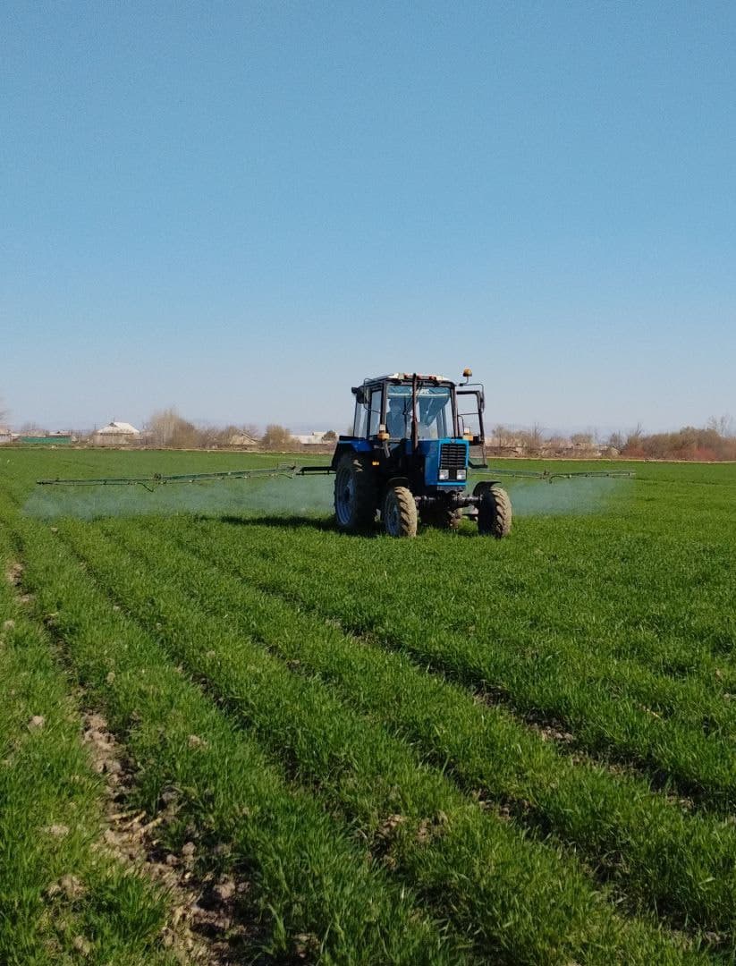 Қишлоқ ва сув хўжалиги соҳасидаги берилган топшириқлар ижроси туман ишчи гуруҳи томонидан ўрганилмоқда