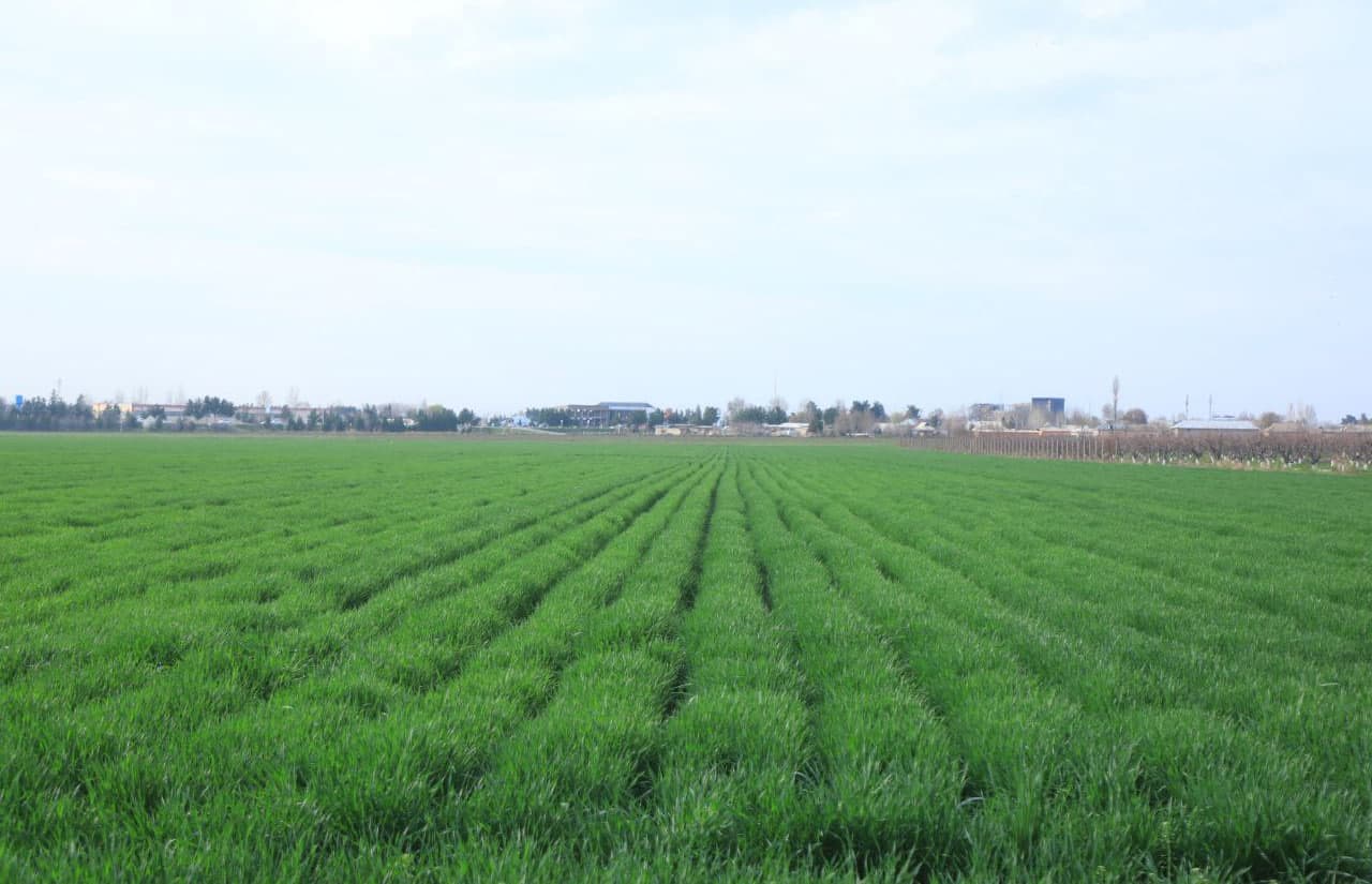 Қишлоқ ва сув хўжалигидаги вазифалар муҳокама қилинди