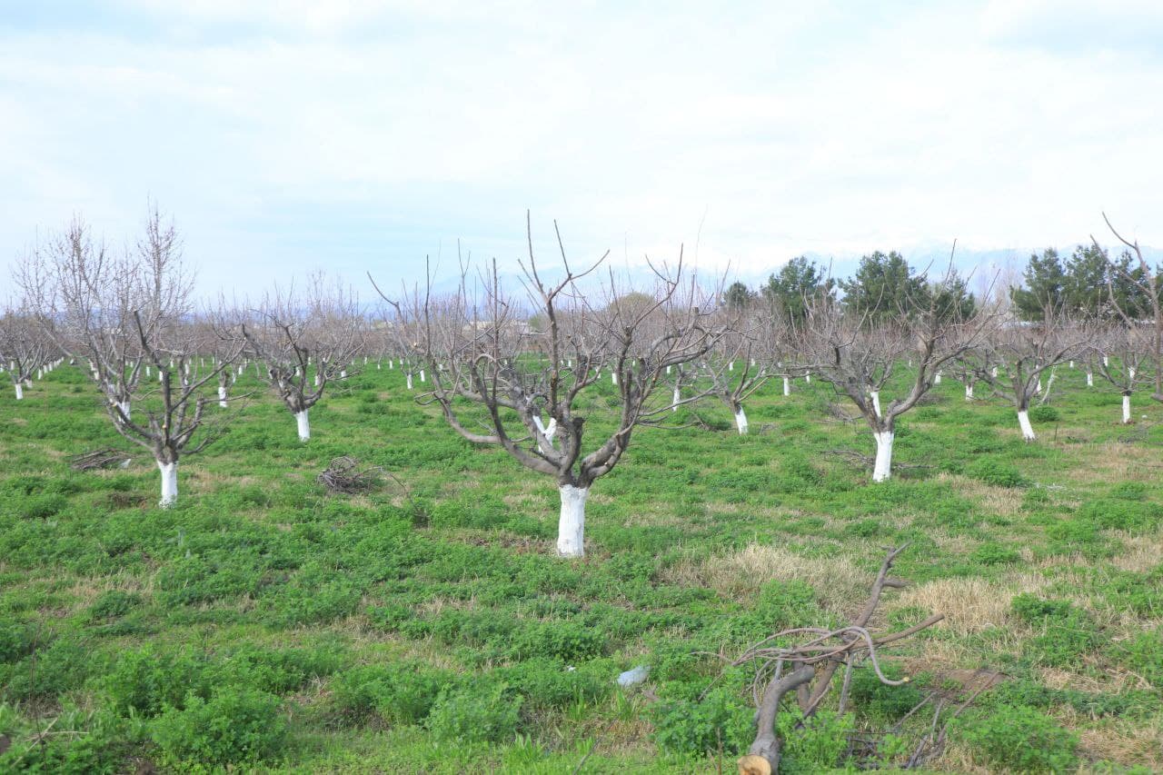 Қишлоқ ва сув хўжалигидаги вазифалар муҳокама қилинди
