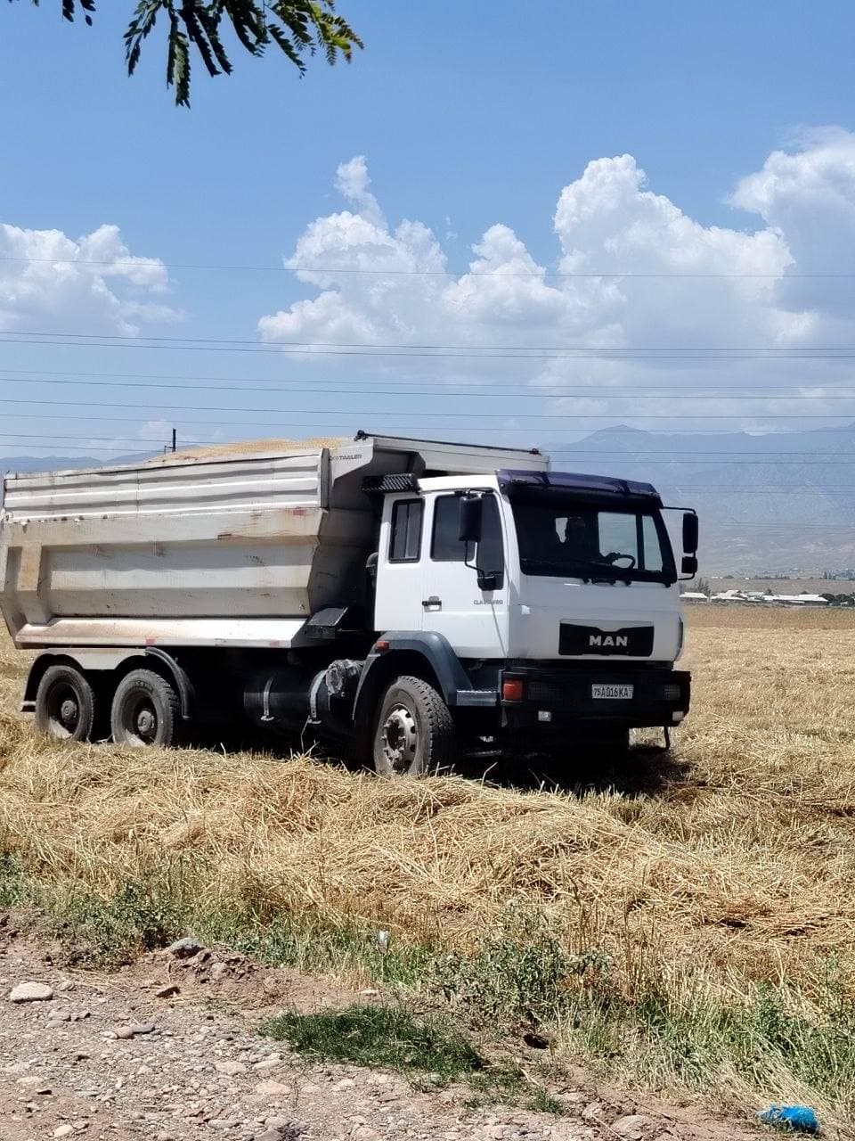 Sariosiyo tuman hududlarida g‘alla o‘rim-yig‘imi uyushqoqlik bilan amalga oshirilmoqda