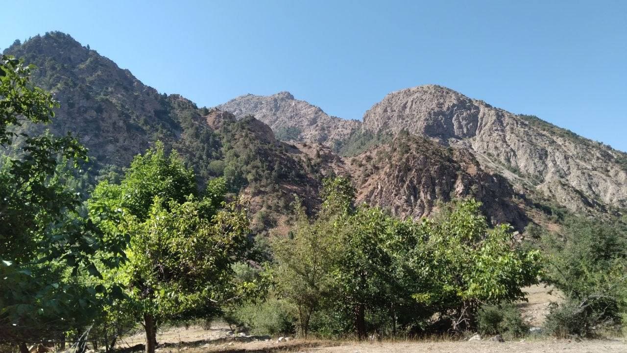 🏔 Sariosiyo tumani Yuqori To‘palang milliy tabiat bog‘i manzaralari.