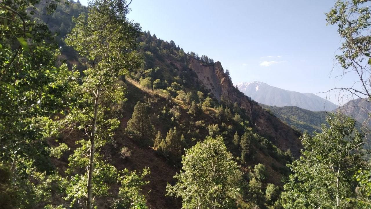 🏔 Sariosiyo tumani Yuqori To‘palang milliy tabiat bog‘i manzaralari.