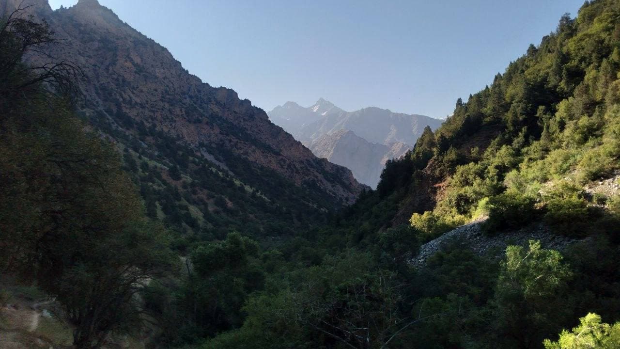 🏔 Sariosiyo tumani Yuqori To‘palang milliy tabiat bog‘i manzaralari.