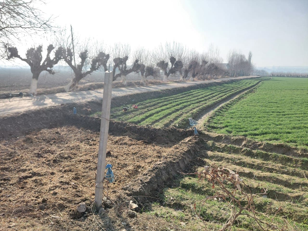 Қумқўрғон туманида 2026-йил ғалла ҳосили учун семинар ташкил этилди