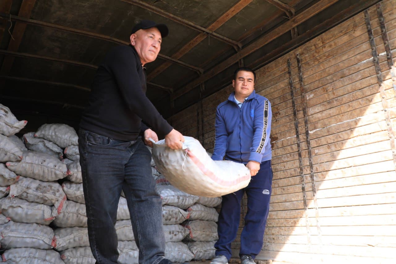 Kambag‘allikni qisqartirishga qaratilgan amaliy yordam