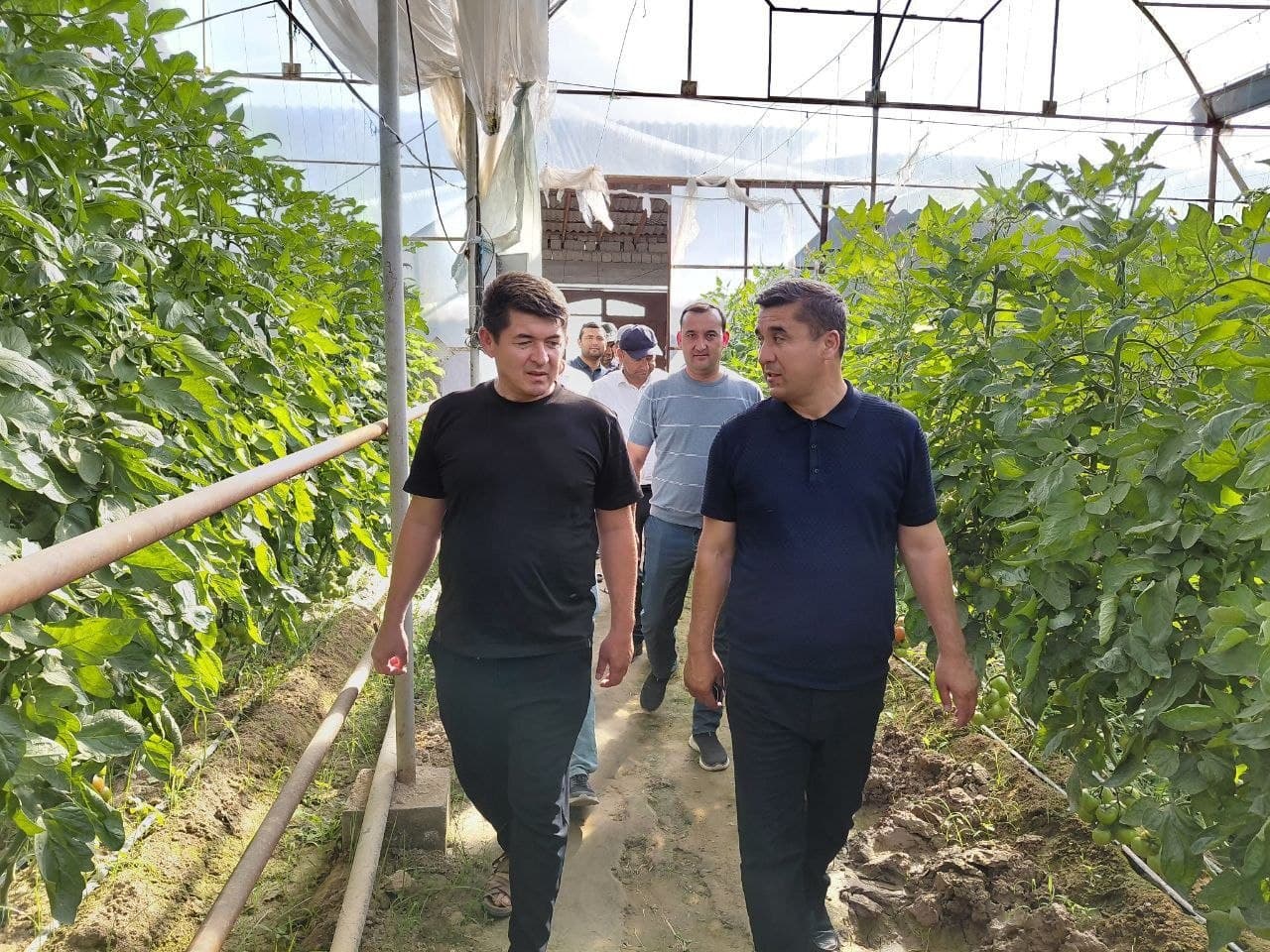Tadbirkorlar muammolari joyida o‘rganilib, yechimlar belgilandi