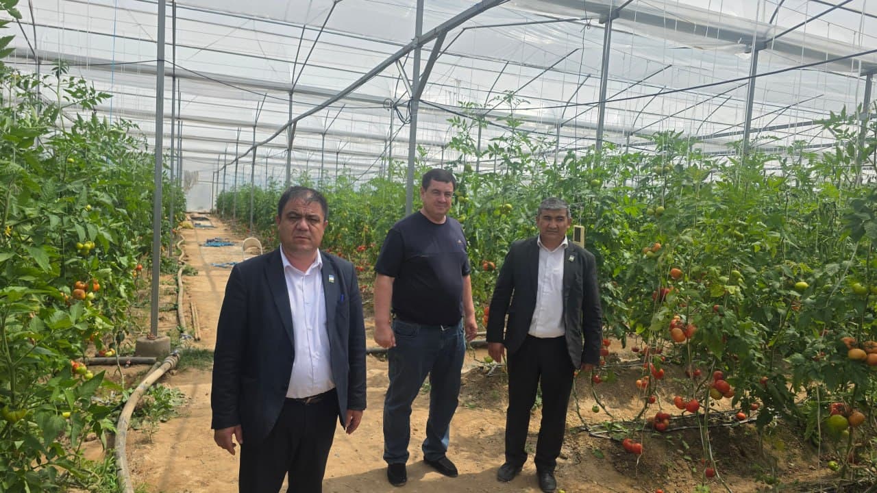 🌿 Deputatlar issiqxona faoliyati bilan tanishdi