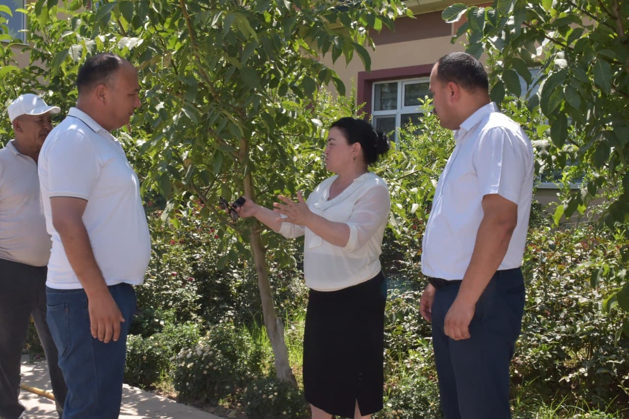 24-sonli maktabgacha ta’lim tashkilotida o'rganish ishlari