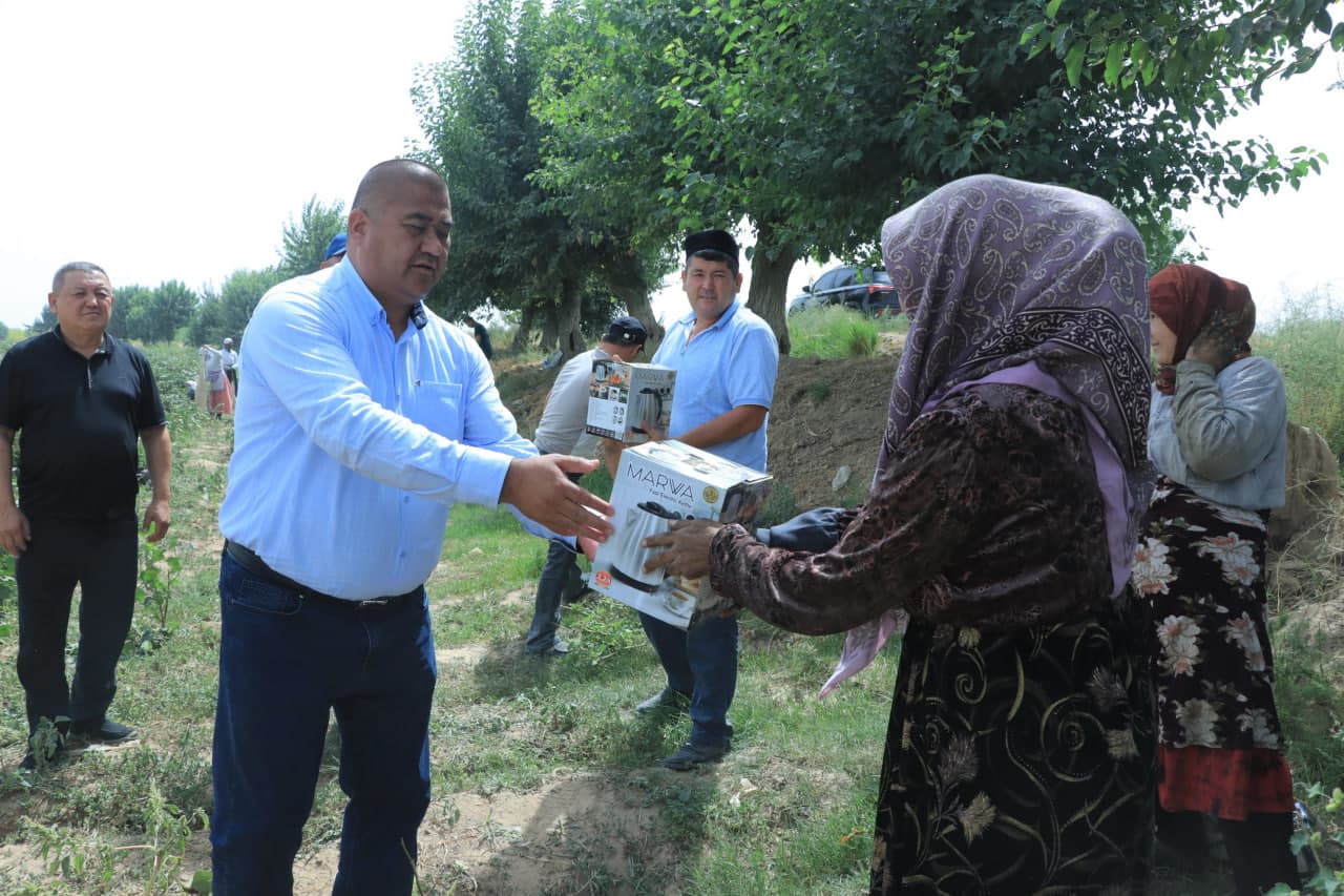 Пахта терими авжида