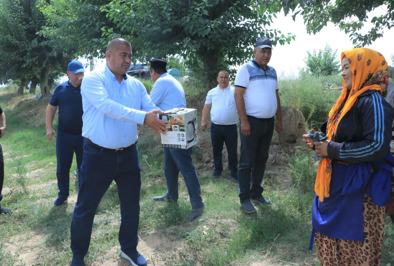 Пахта терими авжида