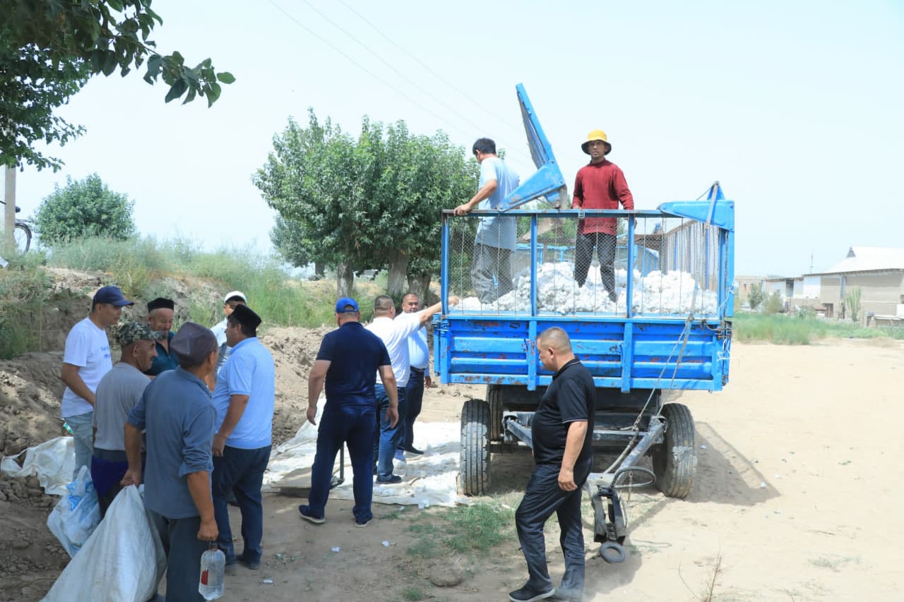 Пахта терими авжида