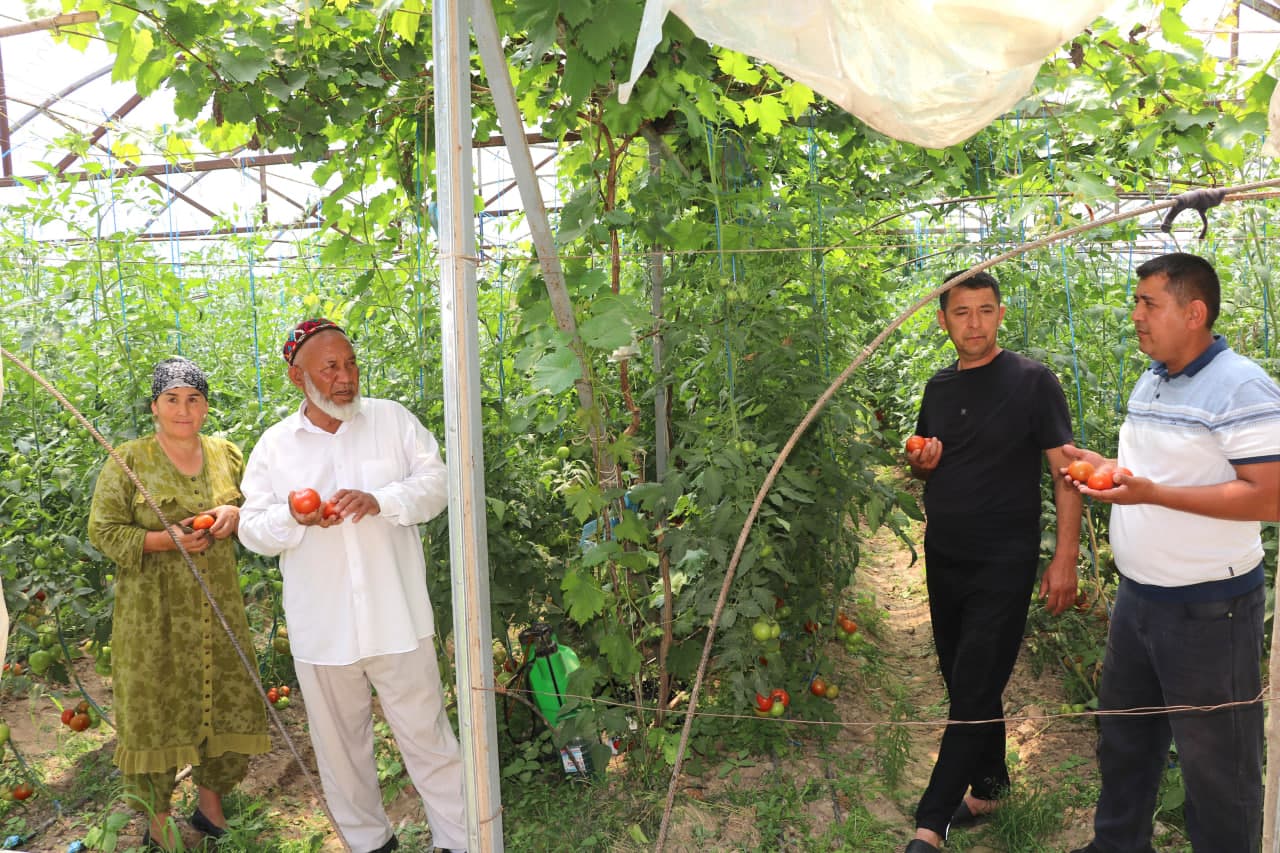 "Egarchi" mahallasida taraqqiyot va yetakchilik dasturi samarasi yaqqol namoyon bo‘lmoqda