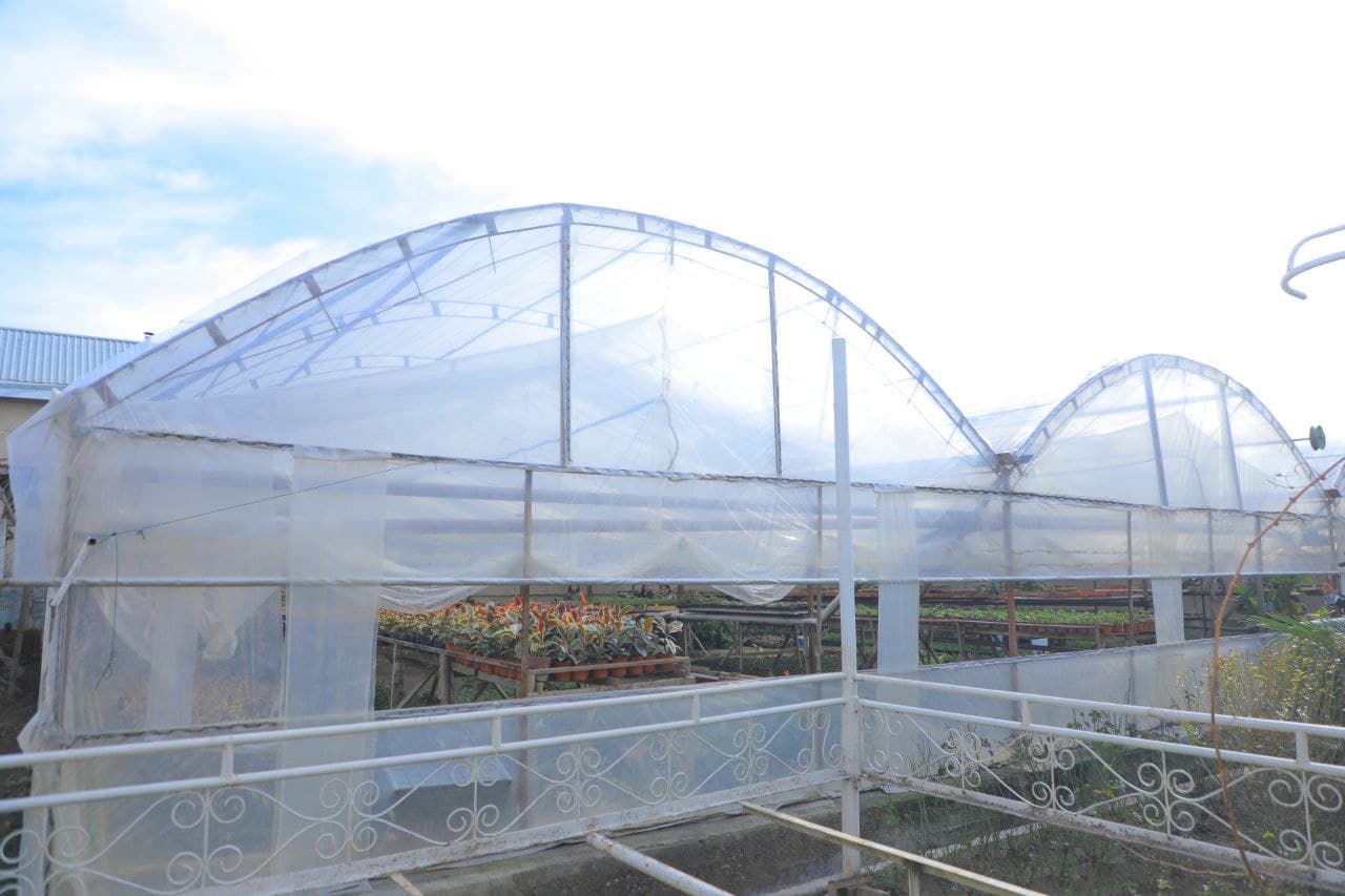 Yangi Namangan tumani gul yetishtirishda katta tajribaga ega