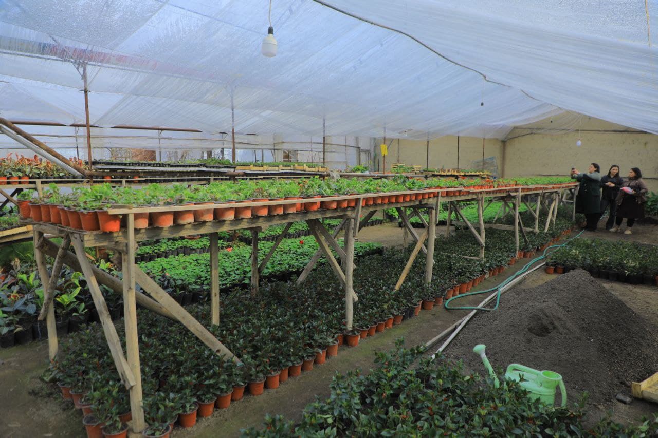 Yangi Namangan tumani gul yetishtirishda katta tajribaga ega