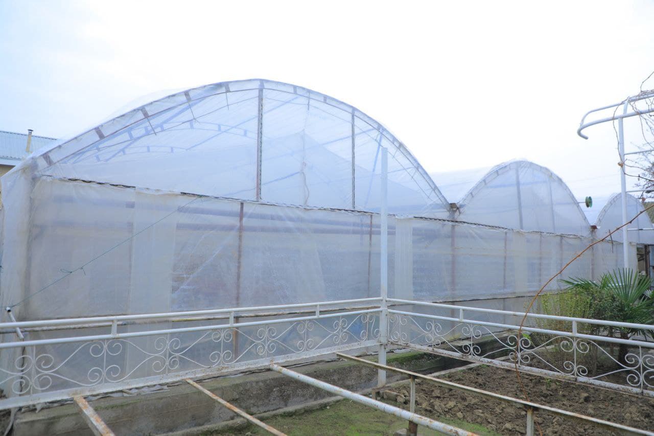 Hovlidagi gullar bog‘i 90 millionlik daromad olib kelmoqda