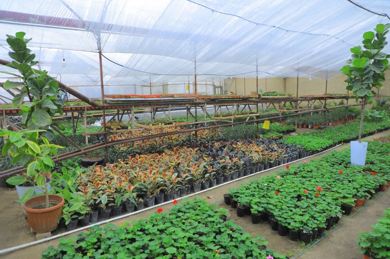 Hovlidagi gullar bog‘i 90 millionlik daromad olib kelmoqda