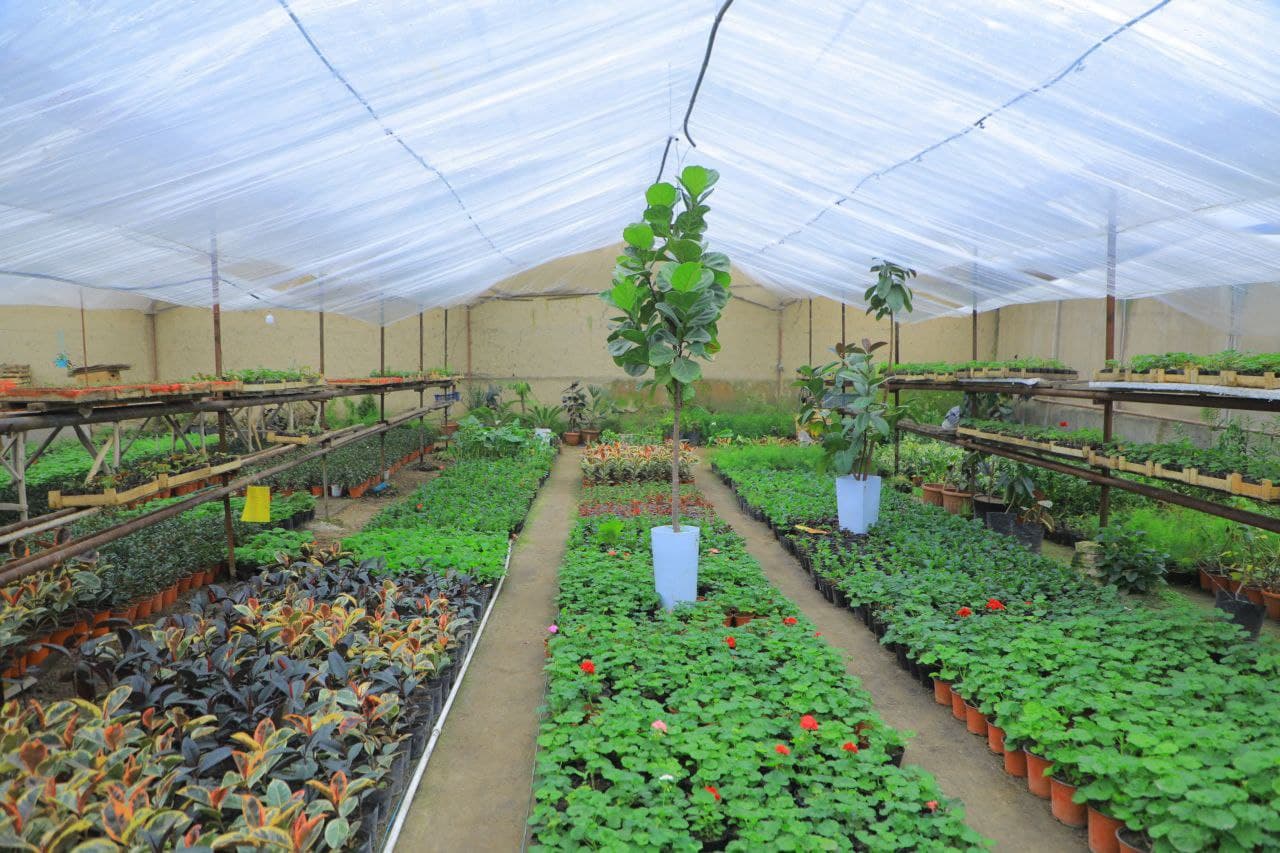 Hovlidagi gullar bog‘i 90 millionlik daromad olib kelmoqda