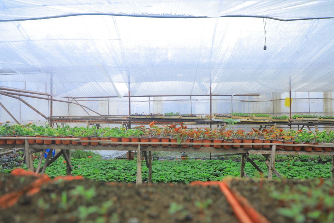 Hovlidagi gullar bog‘i 90 millionlik daromad olib kelmoqda