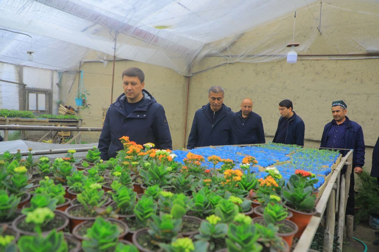 Hovlidagi gullar bog‘i 90 millionlik daromad olib kelmoqda