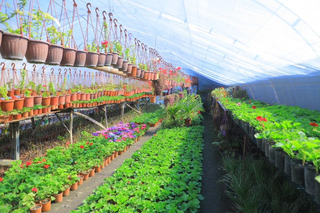 Guldan pul qilayotgan ishbilarmonlar