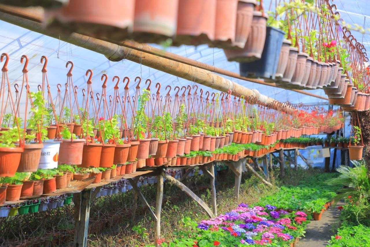 Guldan pul qilayotgan ishbilarmonlar