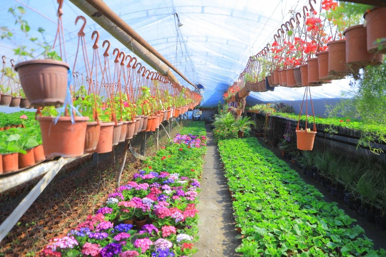 Guldan pul qilayotgan ishbilarmonlar