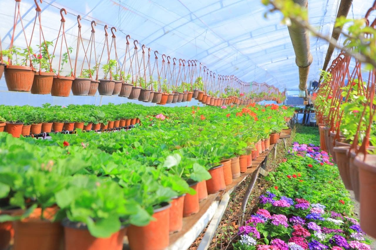 Guldan pul qilayotgan ishbilarmonlar