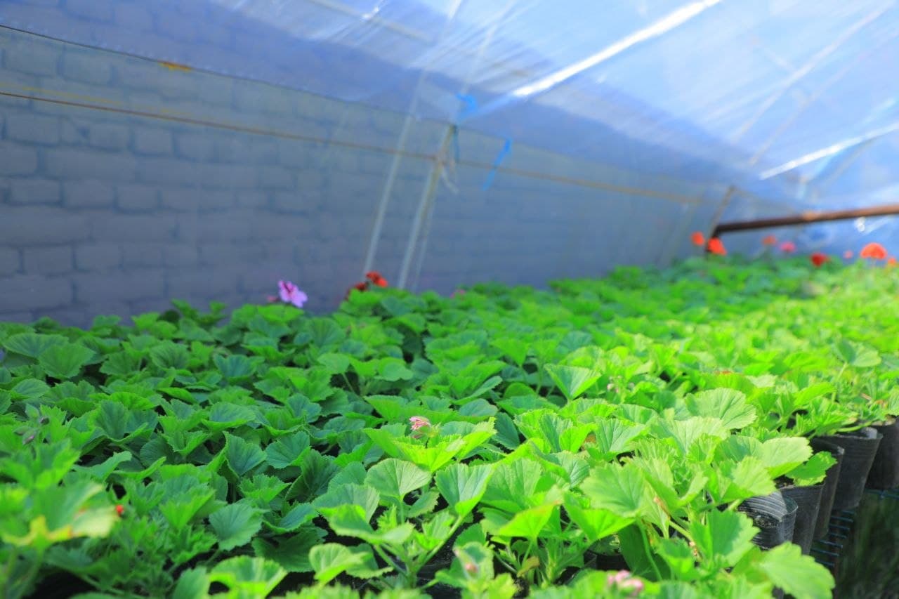 Guldan pul qilayotgan ishbilarmonlar