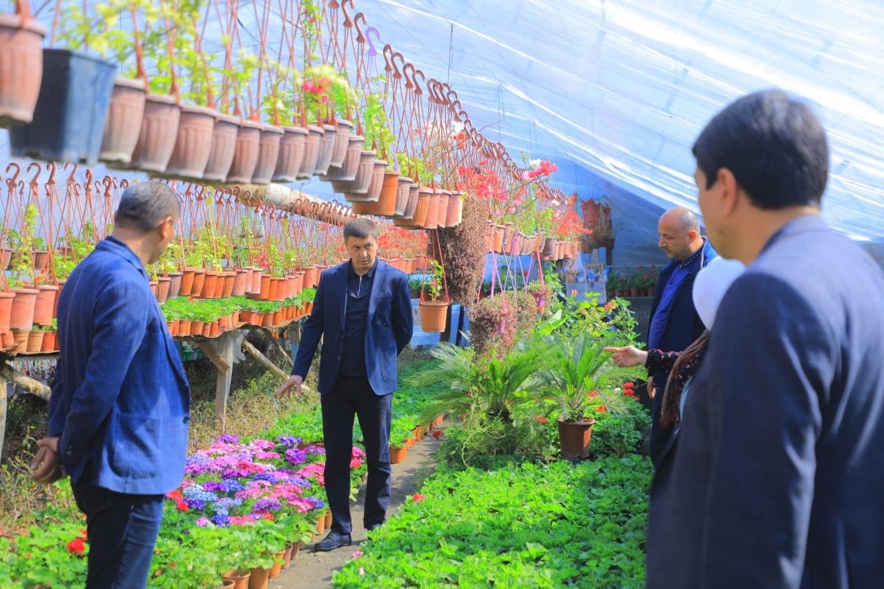 Guldan pul qilayotgan ishbilarmonlar