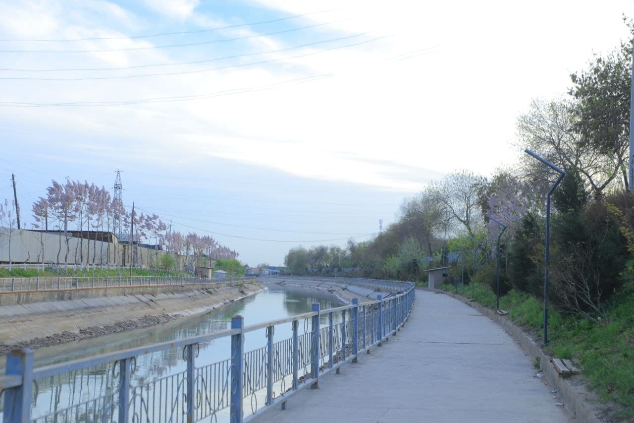 Kanal qirg‘oqlari va yashil hududlardagi tartib nazorat qilindi