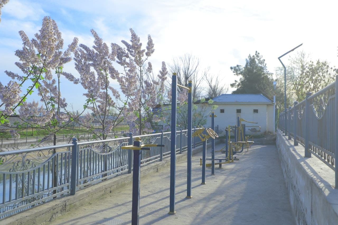 Kanal qirg‘oqlari va yashil hududlardagi tartib nazorat qilindi