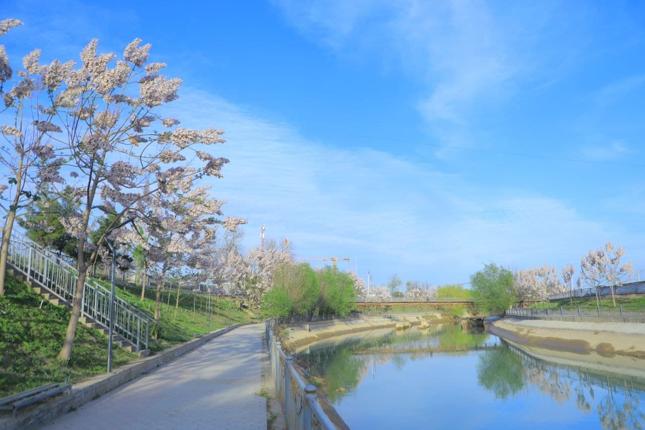 Kanal qirg‘oqlari va yashil hududlardagi tartib nazorat qilindi