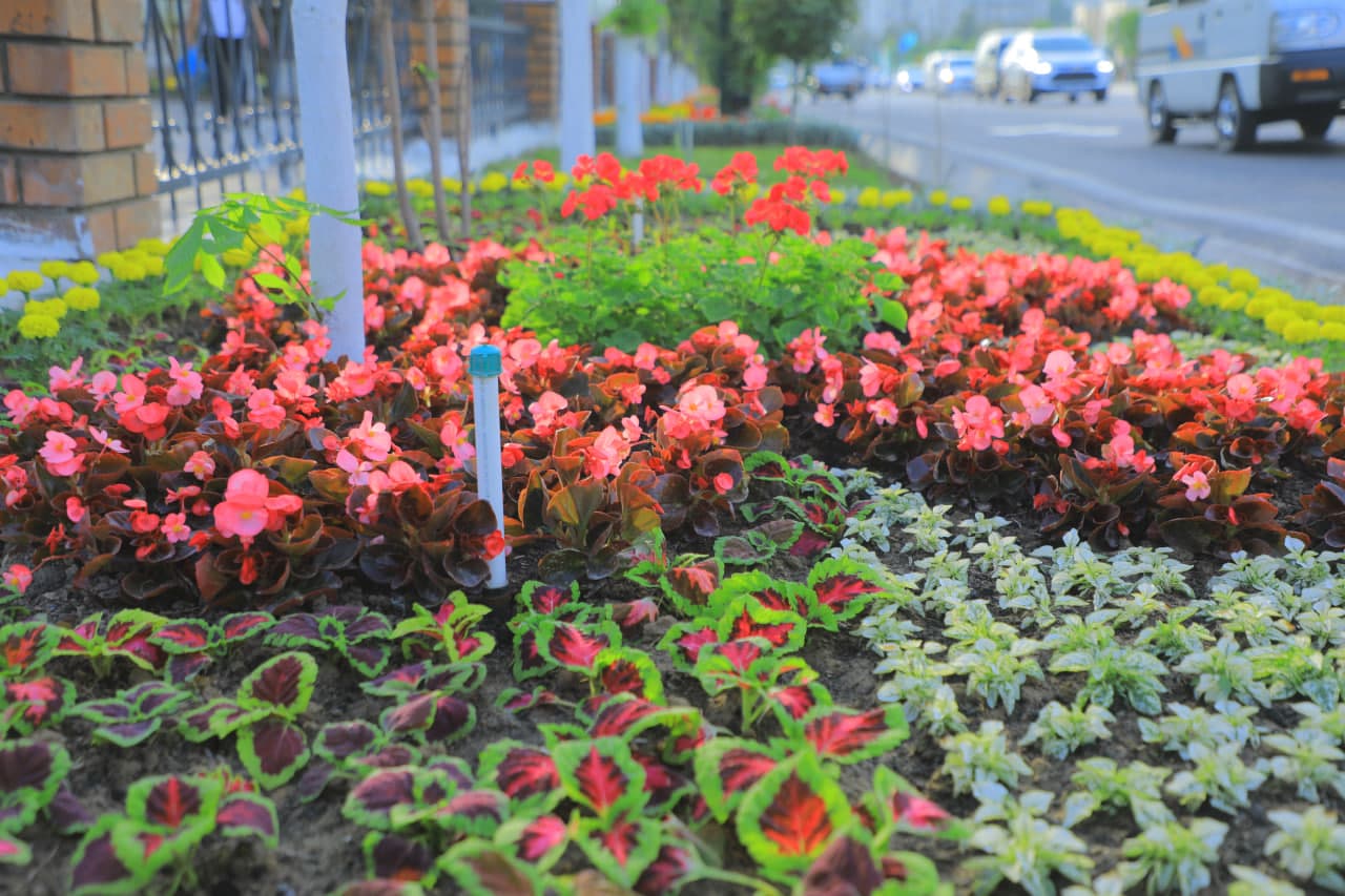 65-Xalqaro Gullar festivaliga tayyorgarlik ishlari qizg‘in davom etmoqda