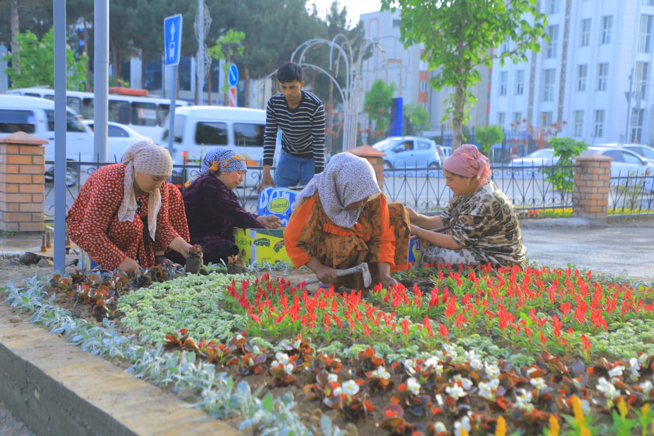 65-Xalqaro Gullar festivaliga tayyorgarlik ishlari qizg‘in davom etmoqda