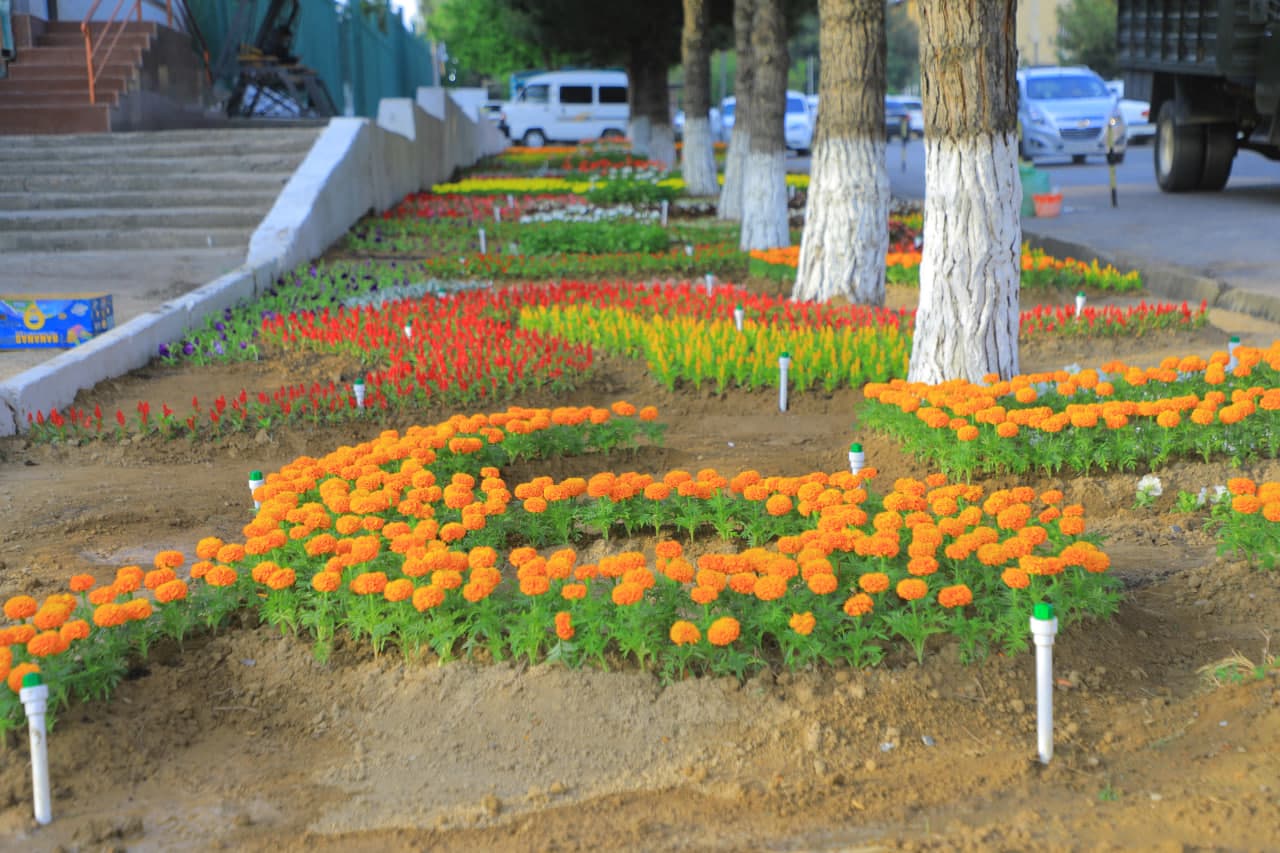 65-Xalqaro Gullar festivaliga tayyorgarlik ishlari qizg‘in davom etmoqda