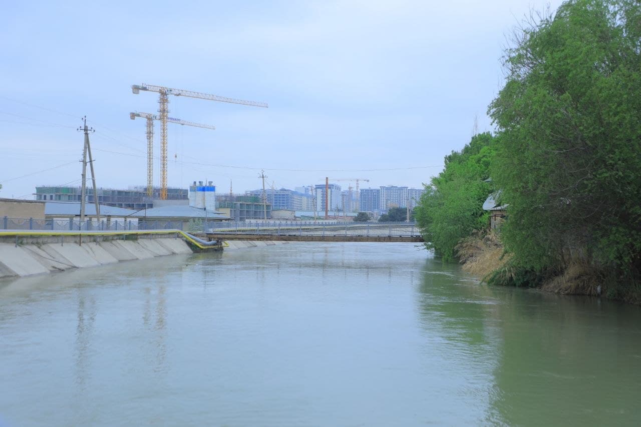 Kanal qirg‘oqlari va yashil hududlarda tartib nazorat qilindi
