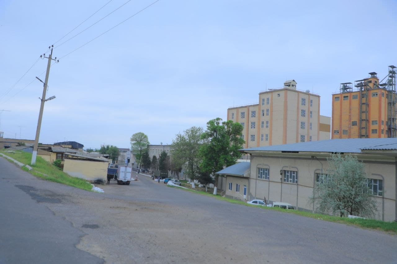 Kanal qirg‘oqlari va yashil hududlarda tartib nazorat qilindi