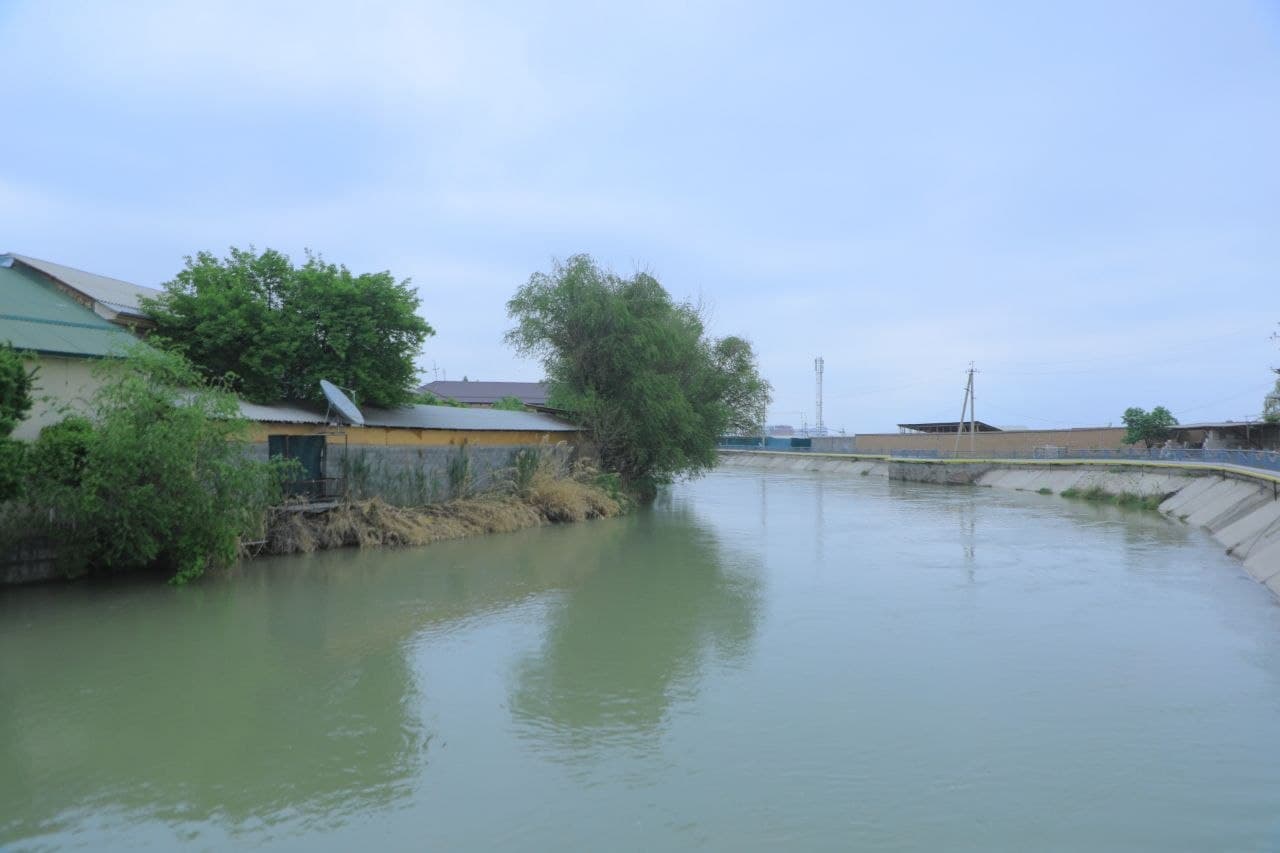 Kanal qirg‘oqlari va yashil hududlarda tartib nazorat qilindi
