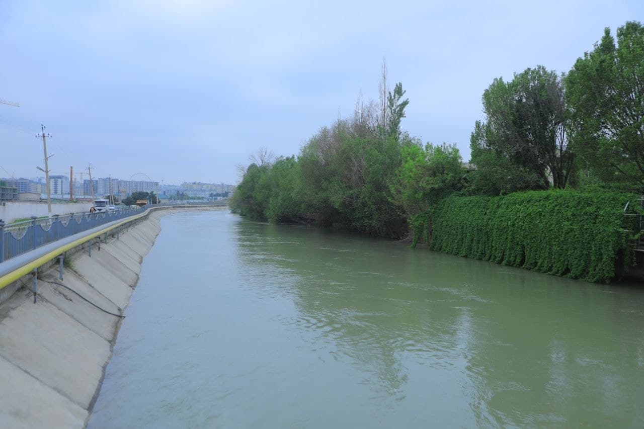 Kanal qirg‘oqlari va yashil hududlarda tartib nazorat qilindi