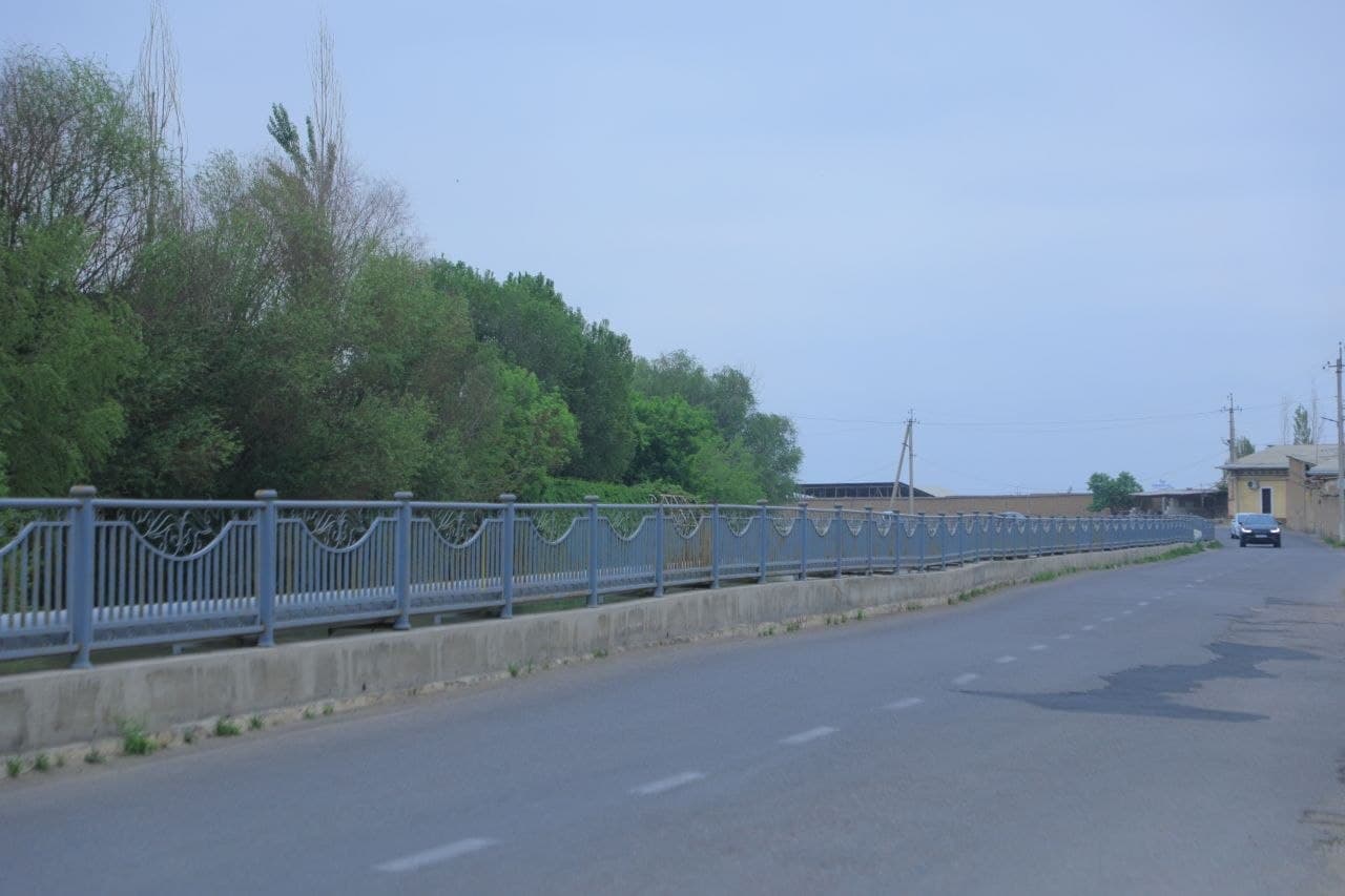 Kanal qirg‘oqlari va yashil hududlarda tartib nazorat qilindi