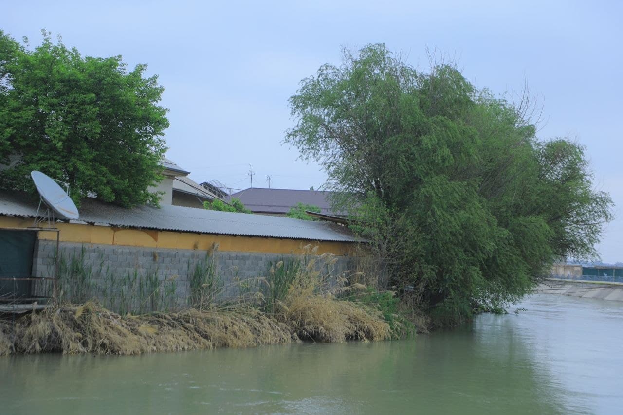 Kanal qirg‘oqlari va yashil hududlarda tartib nazorat qilindi