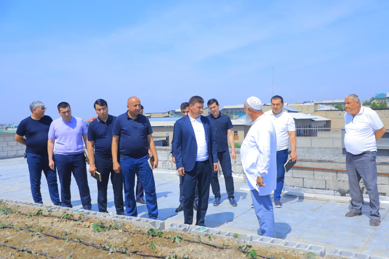 Tomorqachilikda yangi yondashuv: xonadon tomida ham ekin yetishtirish yo‘lga qo‘yildi