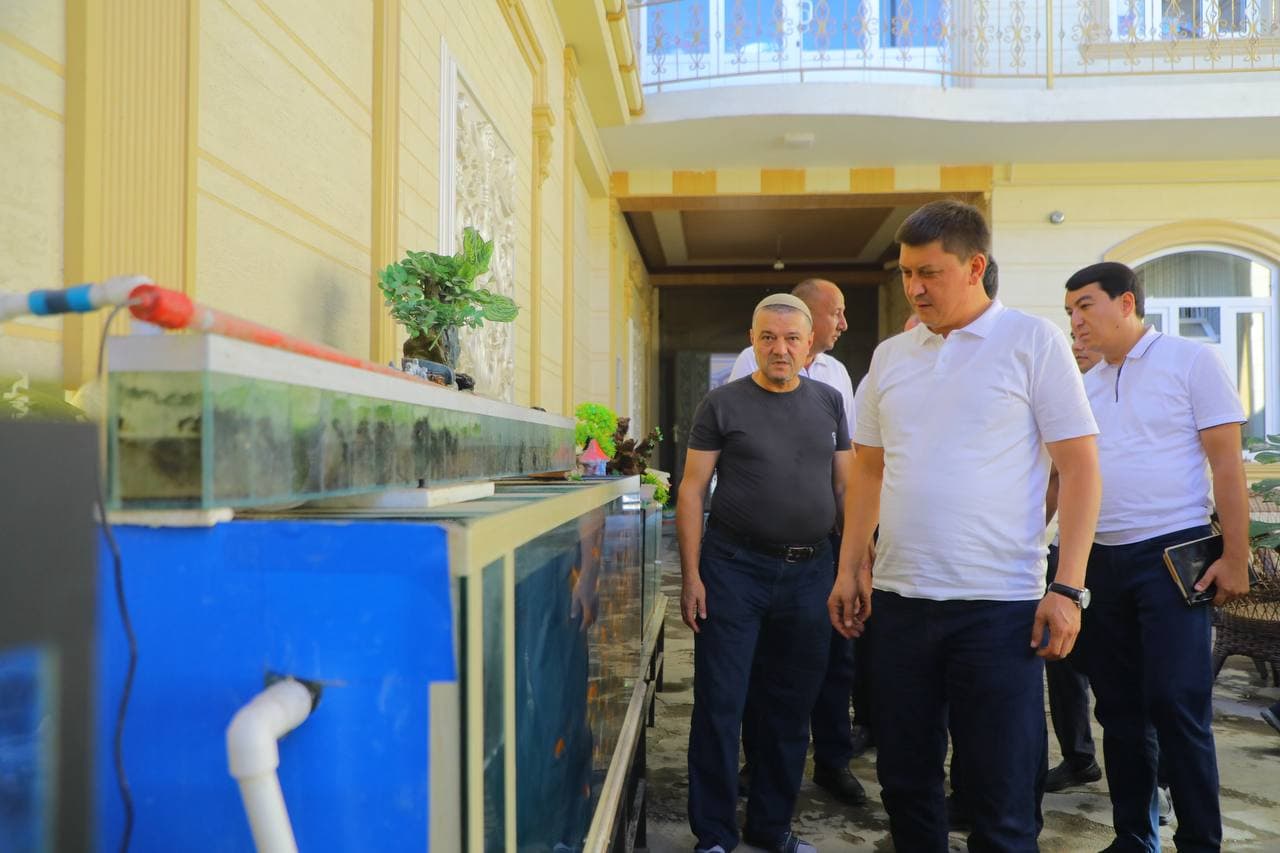 Dekorativ baliqlarga mehr daromad manbaiga aylandi