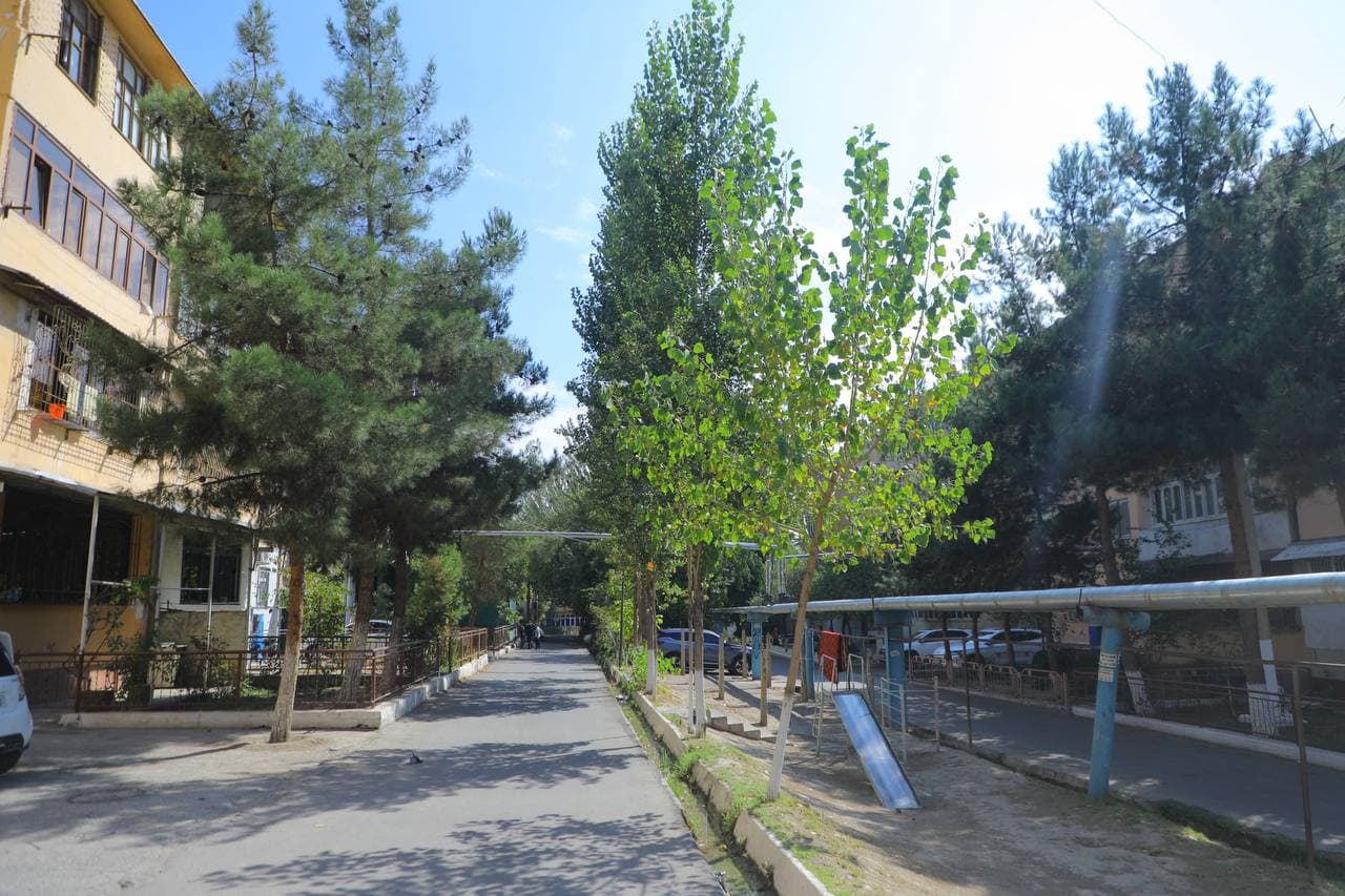 “Sihatgoh” mahallasi ham obod, tartibli hududga aylanadi