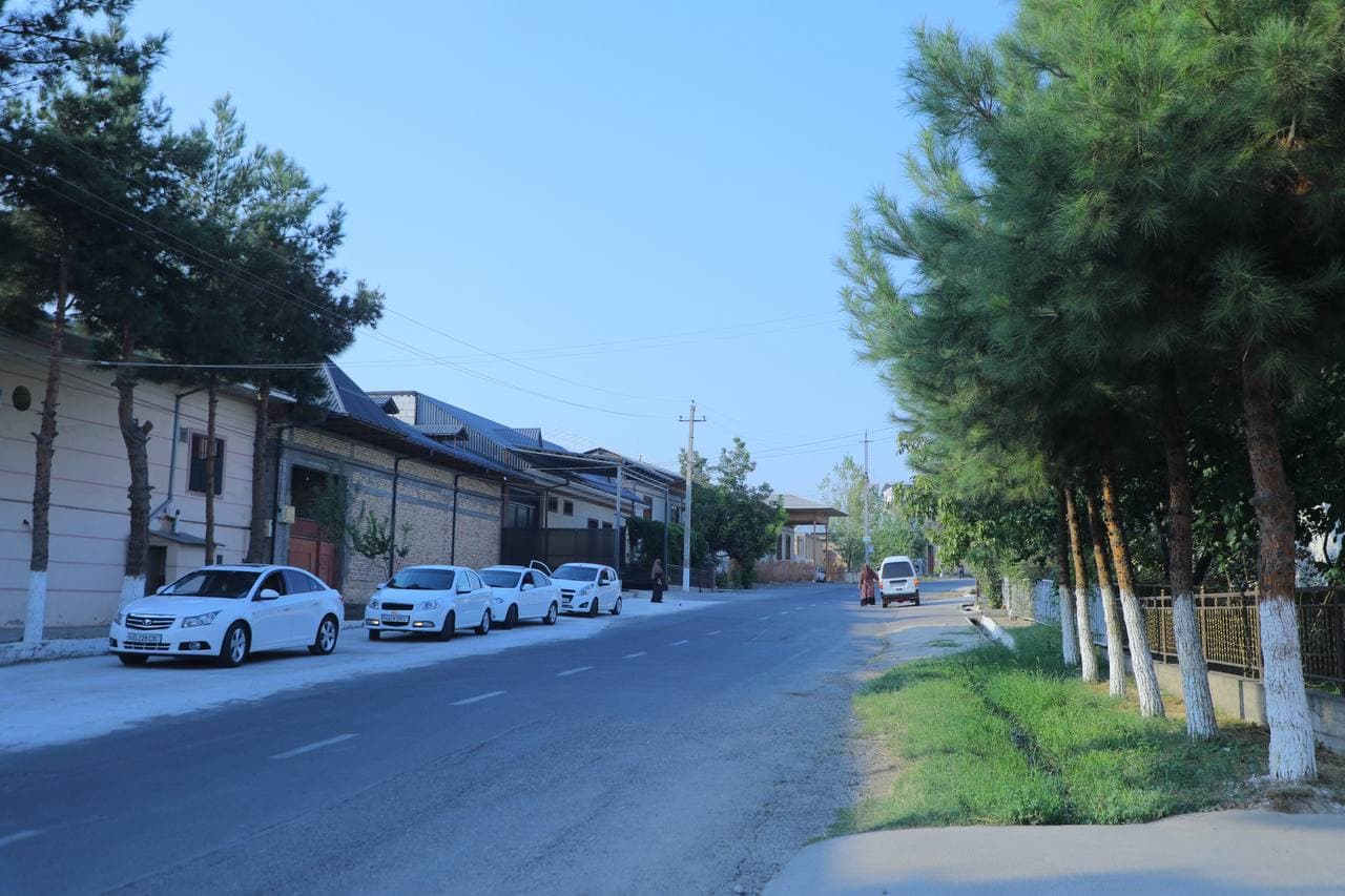 Boborahim Mashrab mahallasida aholi xonadonlari o‘rganildi