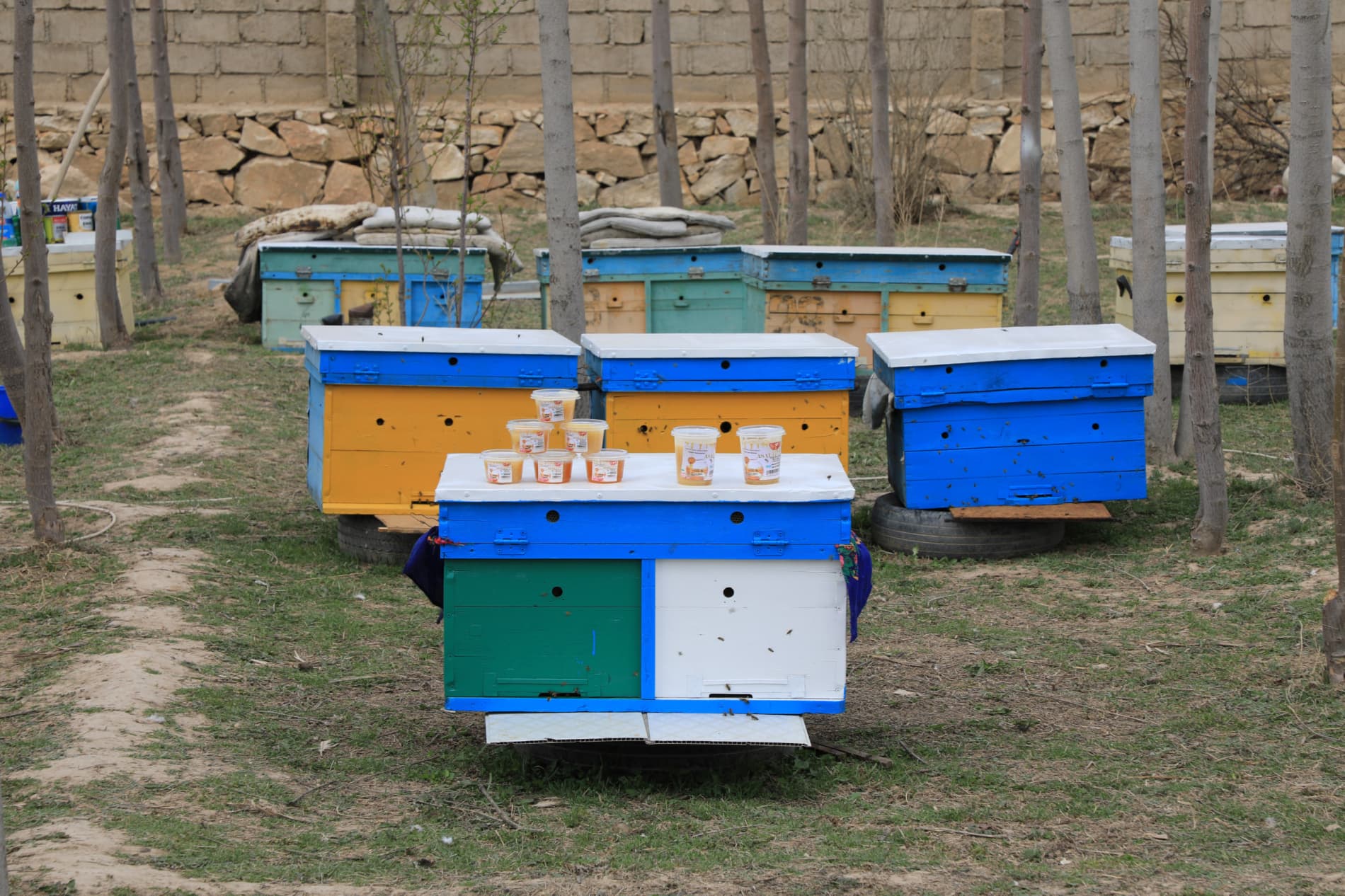 Payshanba — yoshlar kuni